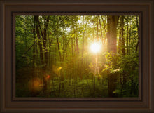 Load image into Gallery viewer, The Morning Breaks