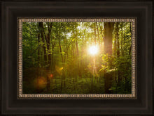 Load image into Gallery viewer, The Morning Breaks