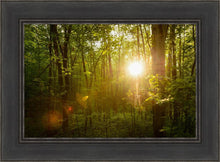 Load image into Gallery viewer, The Morning Breaks