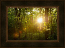 Load image into Gallery viewer, The Morning Breaks