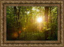 Load image into Gallery viewer, The Morning Breaks