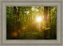 Load image into Gallery viewer, The Morning Breaks