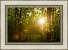 Load image into Gallery viewer, The Morning Breaks