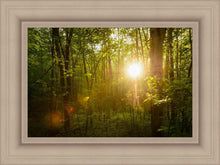 Load image into Gallery viewer, The Morning Breaks