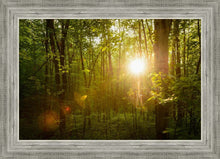 Load image into Gallery viewer, The Morning Breaks
