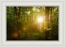 Load image into Gallery viewer, The Morning Breaks