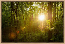 Load image into Gallery viewer, The Morning Breaks