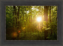 Load image into Gallery viewer, The Morning Breaks