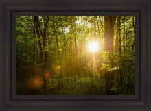 Load image into Gallery viewer, The Morning Breaks