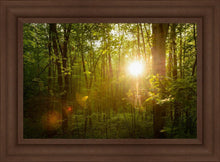Load image into Gallery viewer, The Morning Breaks