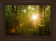 Load image into Gallery viewer, The Morning Breaks