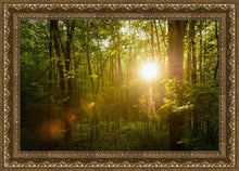 Load image into Gallery viewer, The Morning Breaks