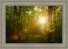 Load image into Gallery viewer, The Morning Breaks