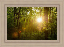 Load image into Gallery viewer, The Morning Breaks