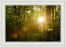 Load image into Gallery viewer, The Morning Breaks