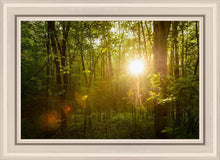 Load image into Gallery viewer, The Morning Breaks