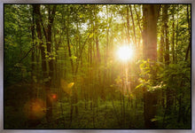 Load image into Gallery viewer, The Morning Breaks