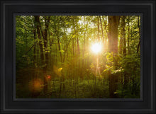 Load image into Gallery viewer, The Morning Breaks