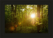 Load image into Gallery viewer, The Morning Breaks