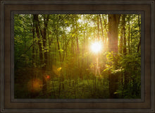 Load image into Gallery viewer, The Morning Breaks