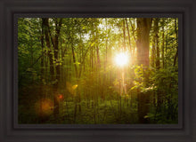 Load image into Gallery viewer, The Morning Breaks