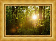 Load image into Gallery viewer, The Morning Breaks