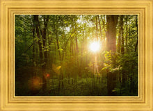 Load image into Gallery viewer, The Morning Breaks