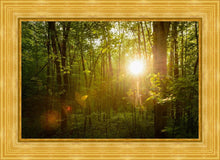 Load image into Gallery viewer, The Morning Breaks