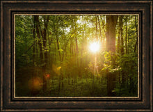 Load image into Gallery viewer, The Morning Breaks