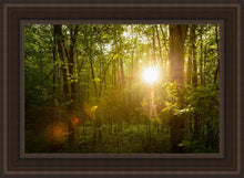 Load image into Gallery viewer, The Morning Breaks