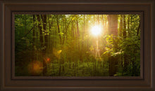 Load image into Gallery viewer, The Morning Breaks