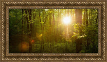 Load image into Gallery viewer, The Morning Breaks