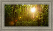 Load image into Gallery viewer, The Morning Breaks