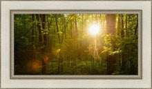 Load image into Gallery viewer, The Morning Breaks