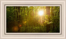 Load image into Gallery viewer, The Morning Breaks