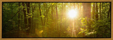 Load image into Gallery viewer, The Morning Breaks