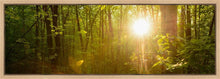Load image into Gallery viewer, The Morning Breaks