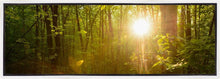 Load image into Gallery viewer, The Morning Breaks