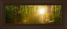 Load image into Gallery viewer, The Morning Breaks