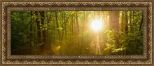Load image into Gallery viewer, The Morning Breaks