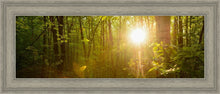 Load image into Gallery viewer, The Morning Breaks