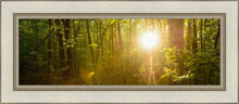 Load image into Gallery viewer, The Morning Breaks