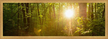 Load image into Gallery viewer, The Morning Breaks