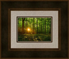 Load image into Gallery viewer, Sacred Morning