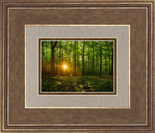 Load image into Gallery viewer, Sacred Morning