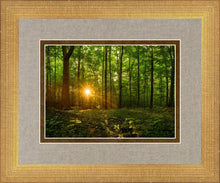 Load image into Gallery viewer, Sacred Morning