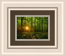 Load image into Gallery viewer, Sacred Morning