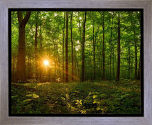 Load image into Gallery viewer, Sacred Morning