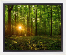 Load image into Gallery viewer, Sacred Morning