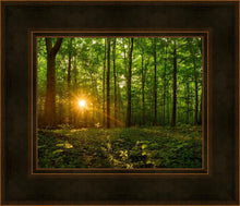 Load image into Gallery viewer, Sacred Morning